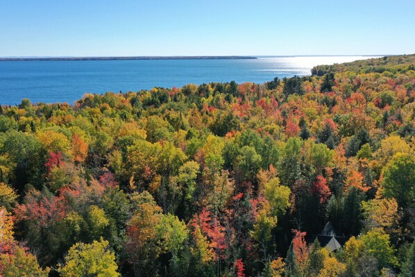 A forested area with a view of a large body of water.