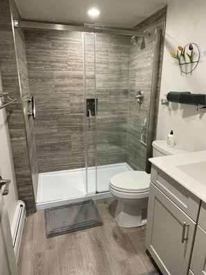 Hair dryer, towels, soap, shampoo