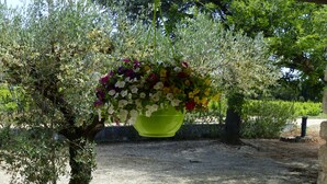 A hanging flower basket with a variety of flowers, a potted plant on the ground, and a stone wall in the background. - Provence - Detached house with private pool (Aubignan)