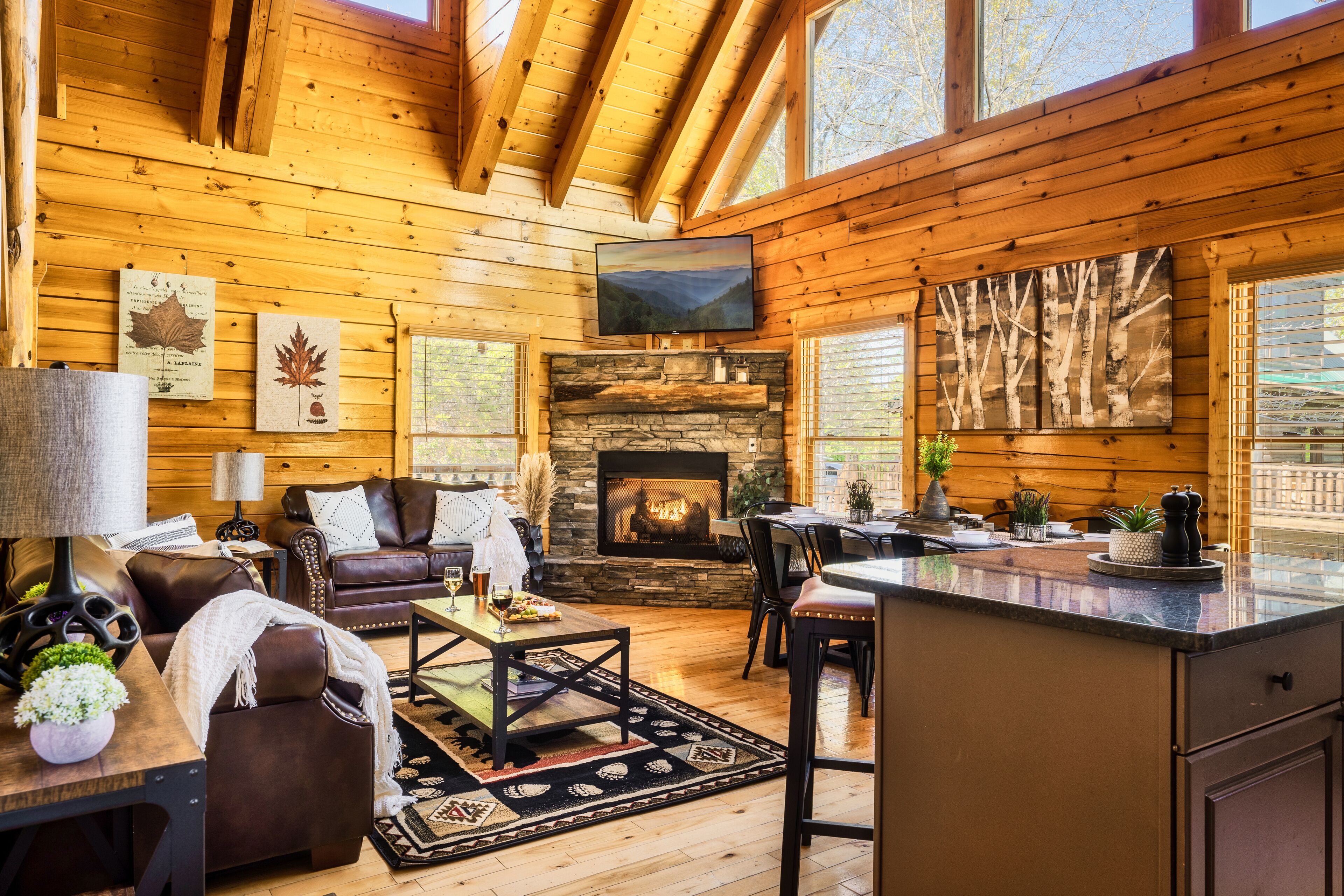 Smart TV, fireplace, video games, books