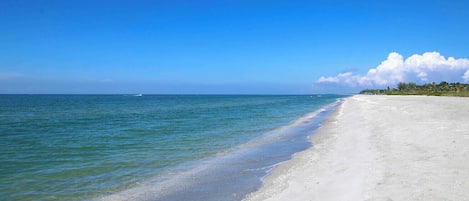 Vlak bij het strand