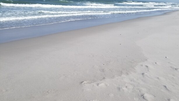 A beach with a clear sky and ocean waves. - Pet friendly- 1/2 block from beach Seaside Heights/Seaside park - ocean views.  (Seaside Heights)