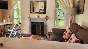 TV connectée, cheminée, lecteur de DVD