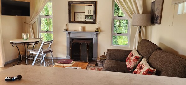 Smart TV, fireplace, DVD player