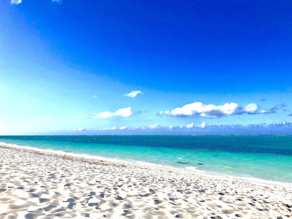 Sun loungers, beach towels