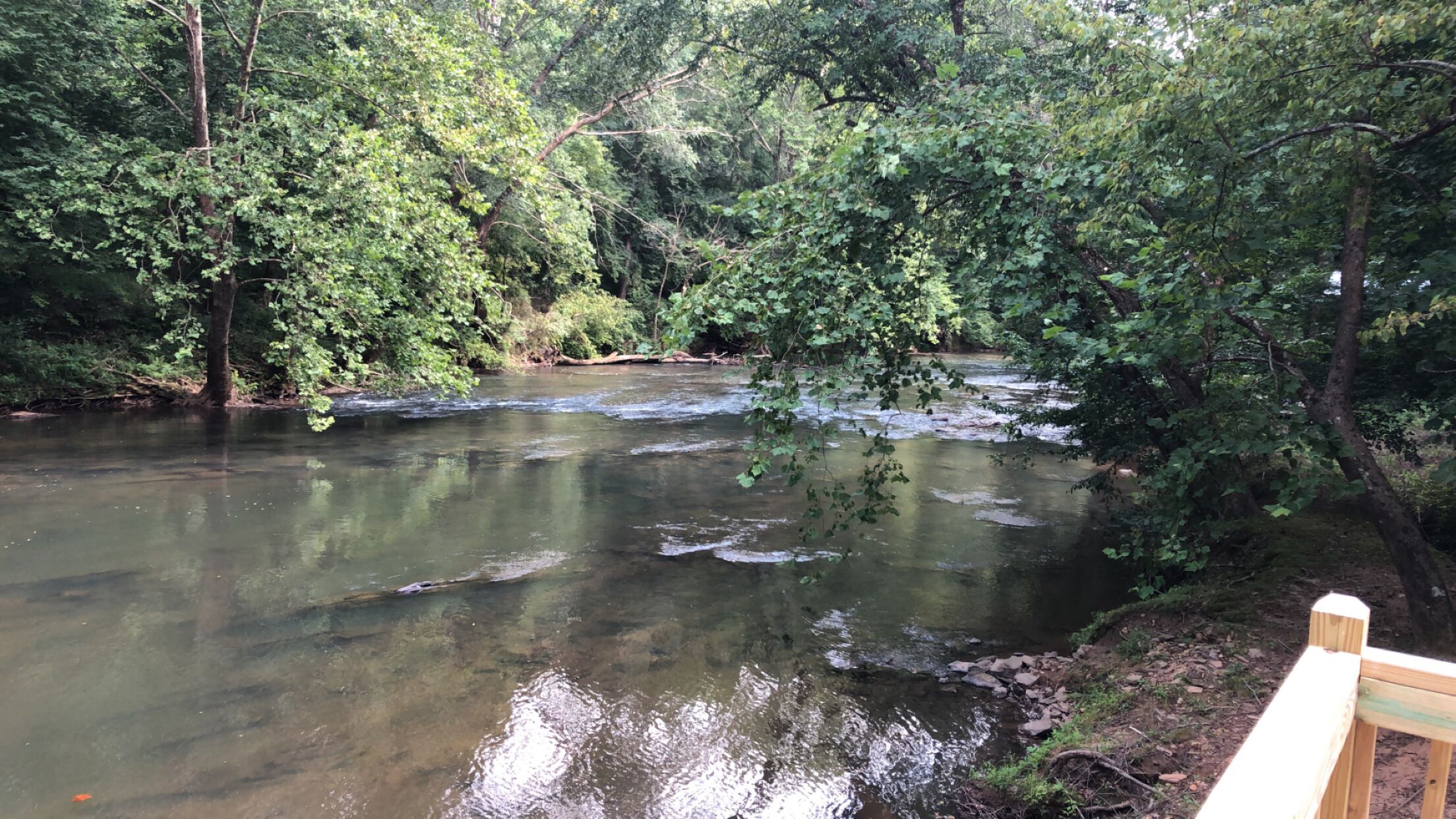 Top 12 PetFriendly Cabins In Dahlonega, Updated 2024 Trip101