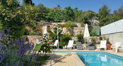 Orly's galilee Villa with a pool