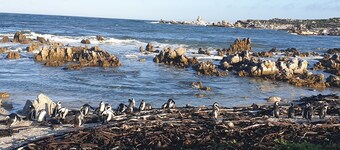 FULLY EQUIPPED SEA FRONT HOLIDAY HOUSE 
Ground floor
Fireplace, Braai area 