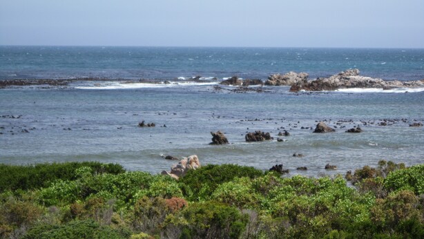 A coastal landscape with rocky outcrops and dense greenery in the foreground.