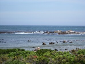 A coastal landscape with rocky outcrops and dense greenery in the foreground.
