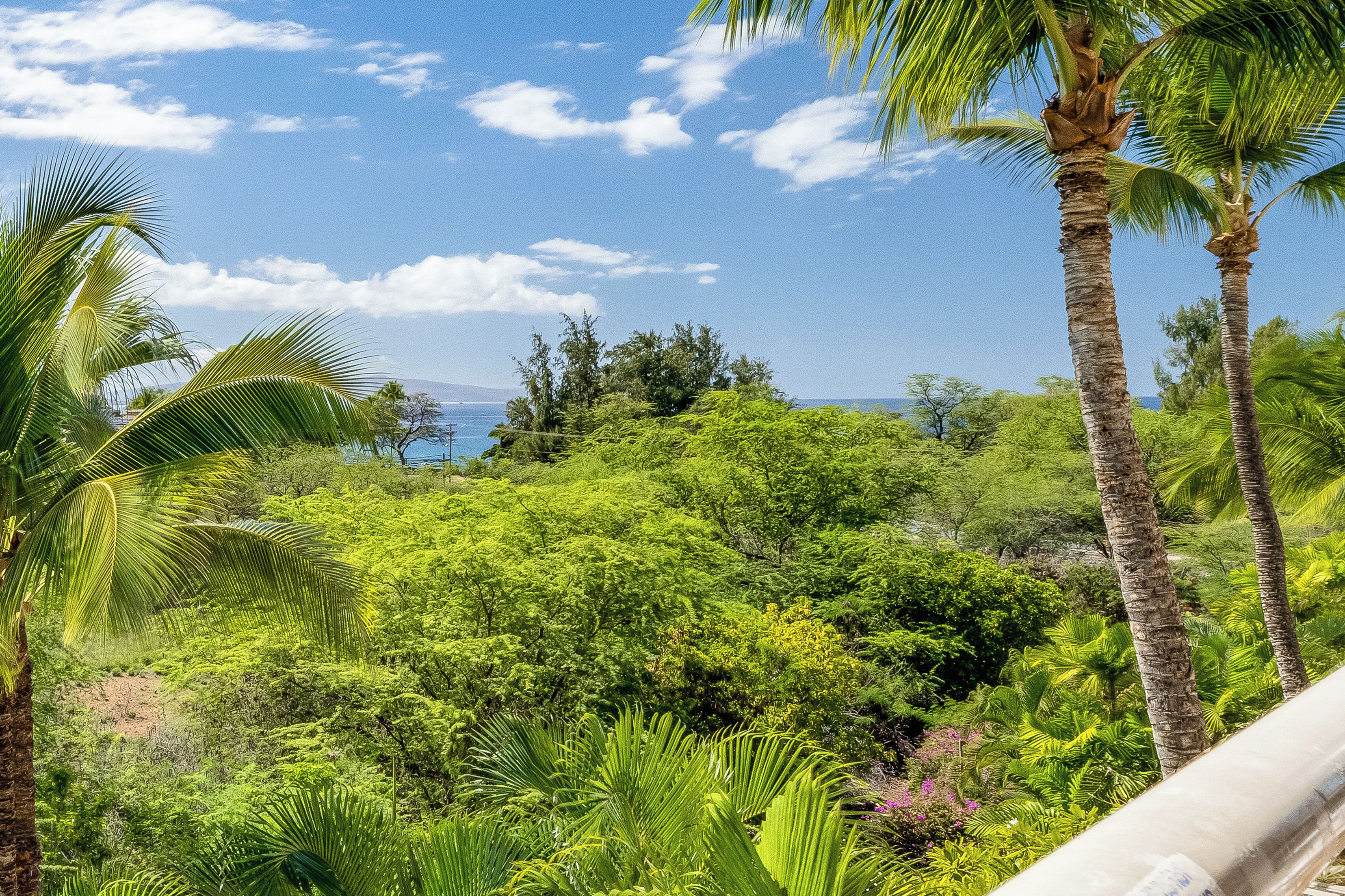 A lush tropical landscape with dense greenery and palm trees, overlooking a body of water.