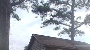 A wooden cabin labeled "Island Time" with a grassy yard, a stone pathway, and a large tree. - Island Time Cottage (Chincoteague)