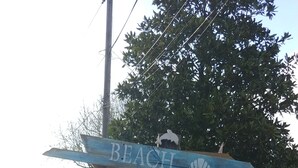 A wooden signpost with multiple directional signs pointing to various local attractions such as beach, seafood, cove, island foods, marina, and maui jacks. - Island Time Cottage (Chincoteague)