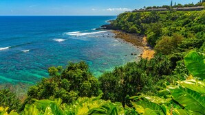 Un paysage côtier avec une plage, une végétation luxuriante et une mer bleue et limpide.