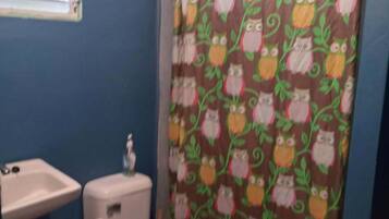 Douche, serviettes fournies, papier toilette