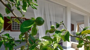 A balcony with a plant, a window with white curtains, and a stone wall. - Villa al Mare B&B (Giovinazzo)