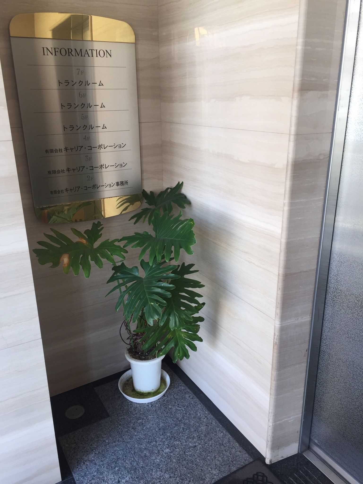 A corner of a hotel room with a potted plant, a wall-mounted information board, and a tiled floor.