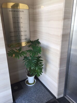 Pintu masuk interior