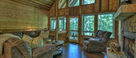 スマートテレビ、暖炉、DVD プレーヤー、書庫