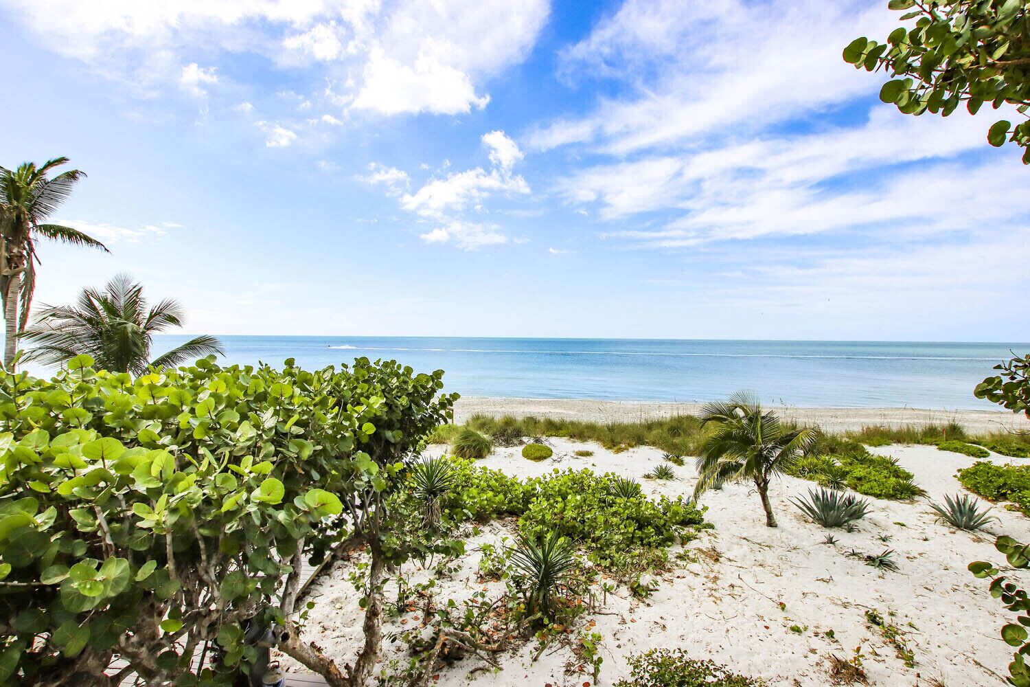 Una platja de sorra blanca, vegetació verda i cel blau clar.