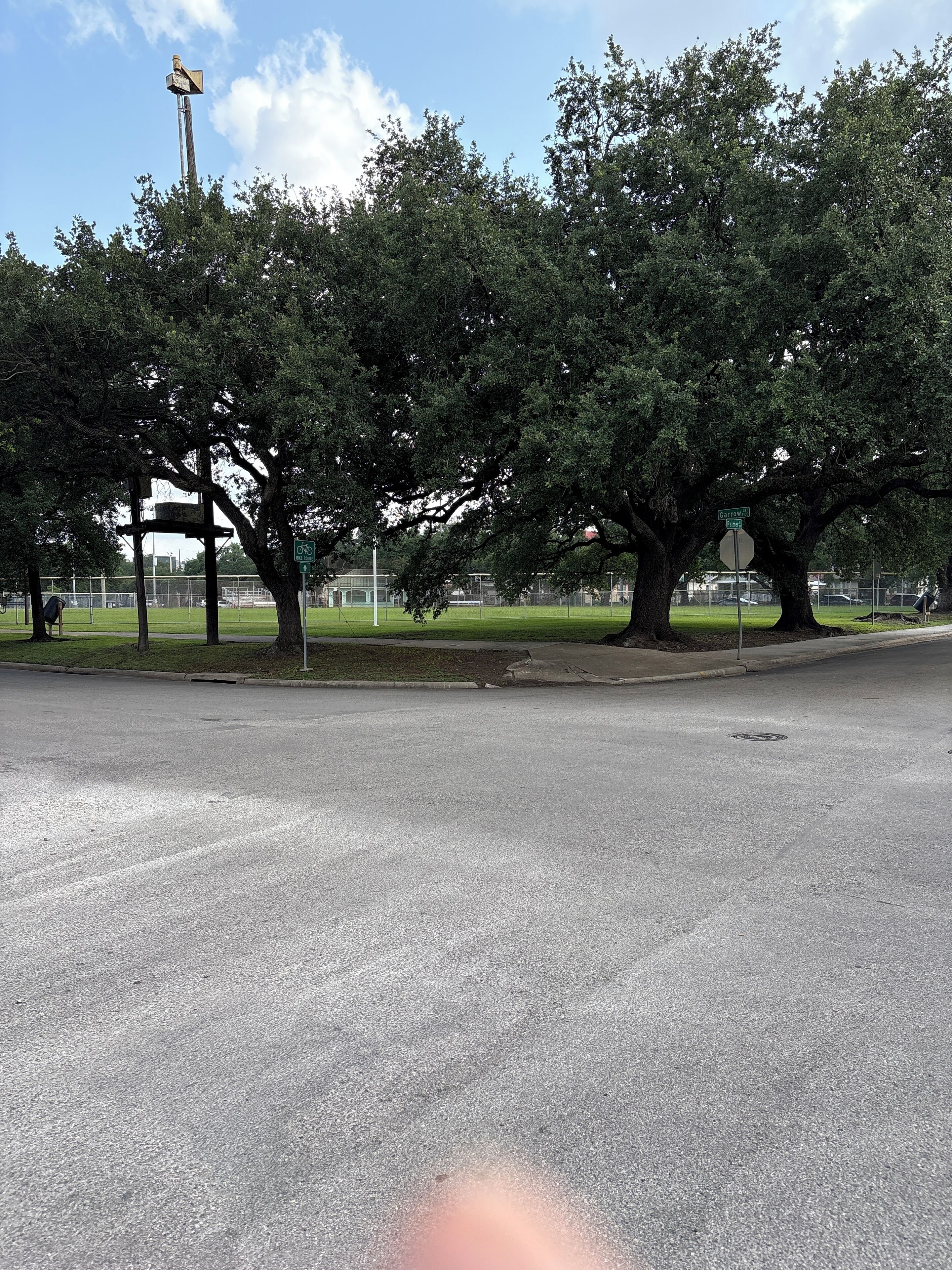 A street with a stop sign, a bicycle sign, and a large tree.