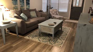 TV, DVD player, books, video library