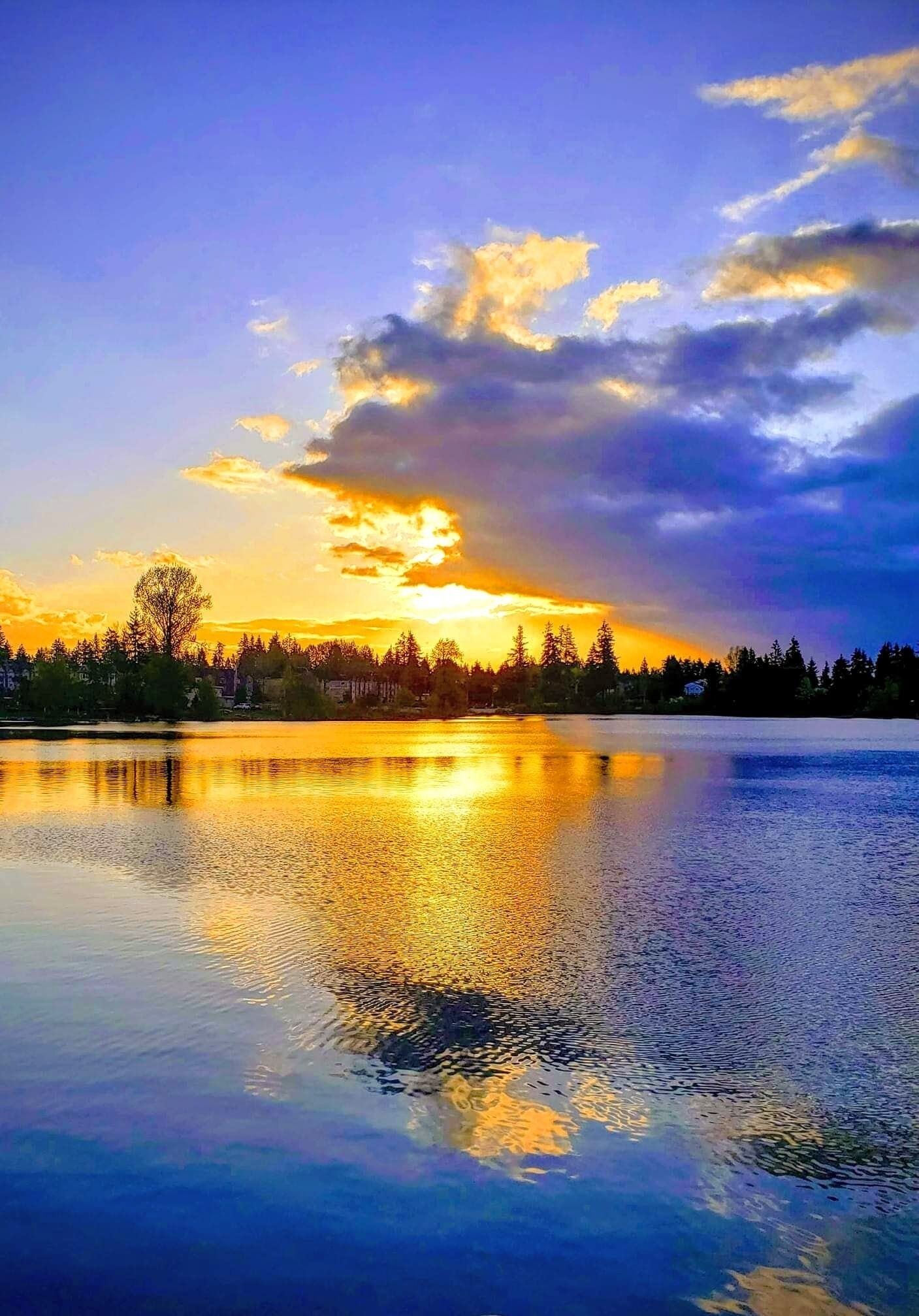 Excape to the lake! Just 20 Miles to Seattle- Fresh Remodel   