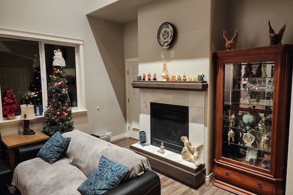 Smart TV, chimenea, videojuegos, reproductor de DVD