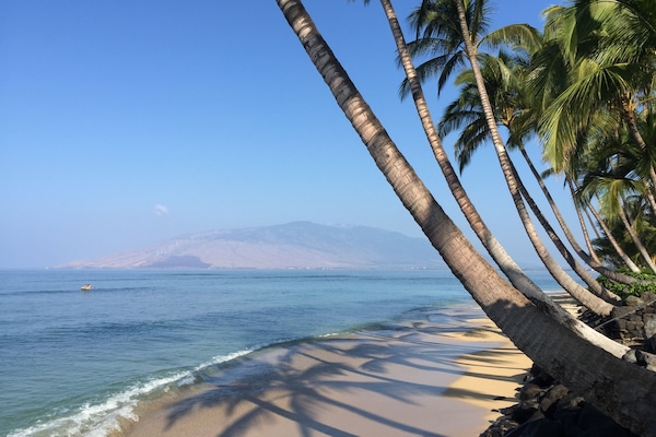 Playa en los alrededores, camastros y toallas de playa