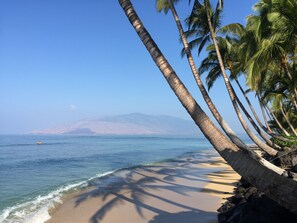 A beach with palm trees and a mountain in the background.