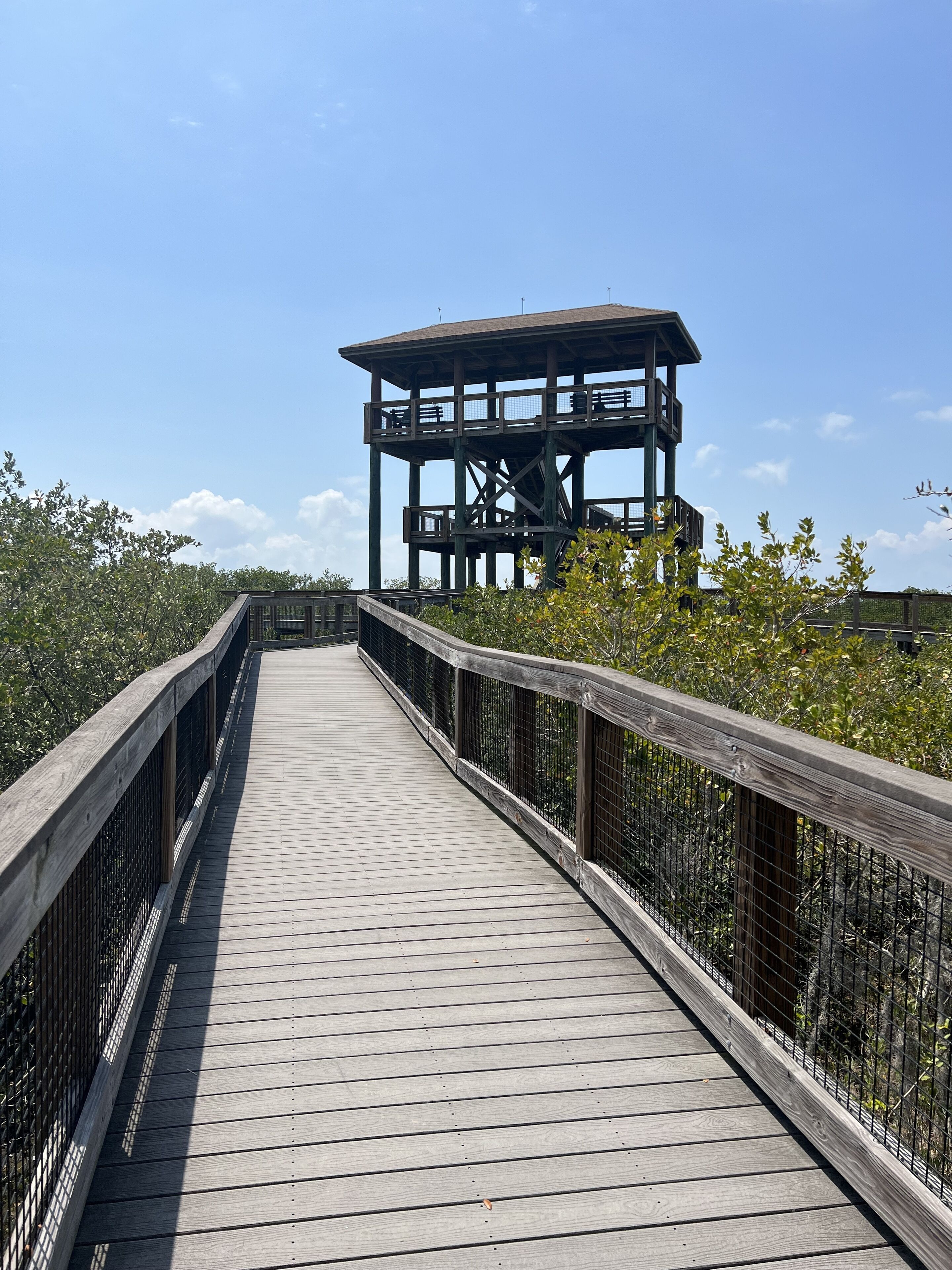 A wooden boardwalk leading to a wooden observation tower with a metal railing.