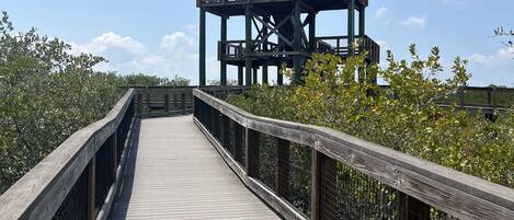 A wooden boardwalk leading to a wooden observation tower with a metal railing.