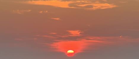 Sun loungers, beach towels