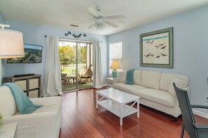 Fernseher, DVD-Player, Bücher