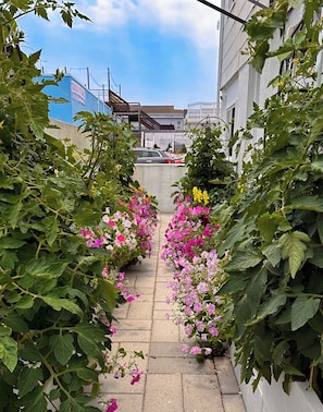 住宿地面