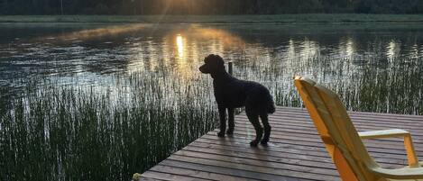 Àrea exterior de l'allotjament