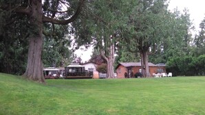 Un área verde con una casa y árboles grandes.