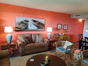 TV, DVD player, books, video library