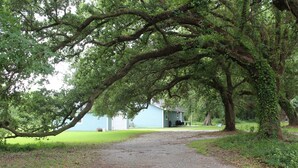 A gravel path leading to a light blue building surrounded by trees. - Cozy Cottage near the lake (Big Lake, LA) (Lake Charles)