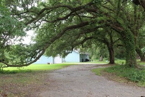 Terrain de l’hébergement 