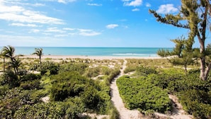 Ein Strandweg führt zum Meer, gesäumt von dichtem Grün und unter blauem Himmel.