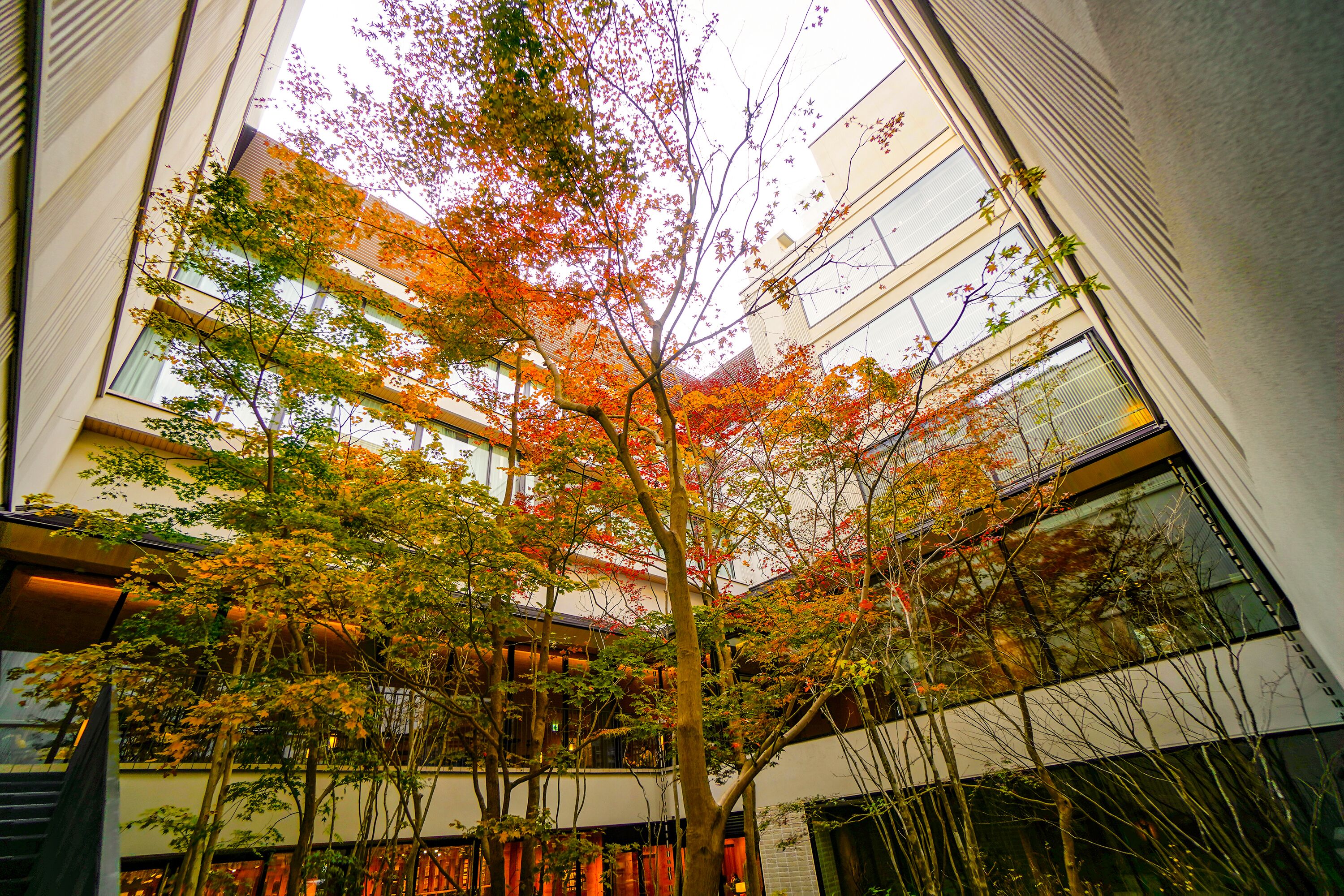 Accommodatievoorziening