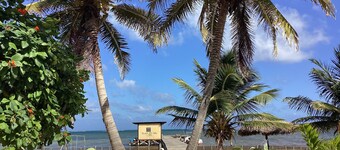 Todo incluido, 2 tours de snorkel y pesca en el arrecife, carrito de golf, kayaks, bicicletas
