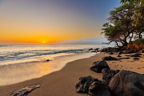 Une plage au coucher du soleil, avec des vagues et un arbre.
