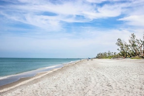Playa en los alrededores 