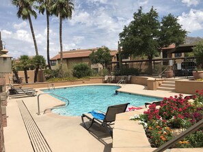 Pool - Oasis at the foot of Catalina! (Tucson)