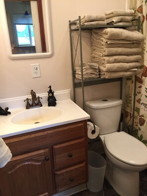 Combined shower/bathtub, hair dryer, towels, soap