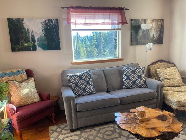 Smart TV, DVD player, books