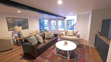 Smart TV, fireplace, books, stereo
