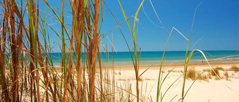 Playa en los alrededores